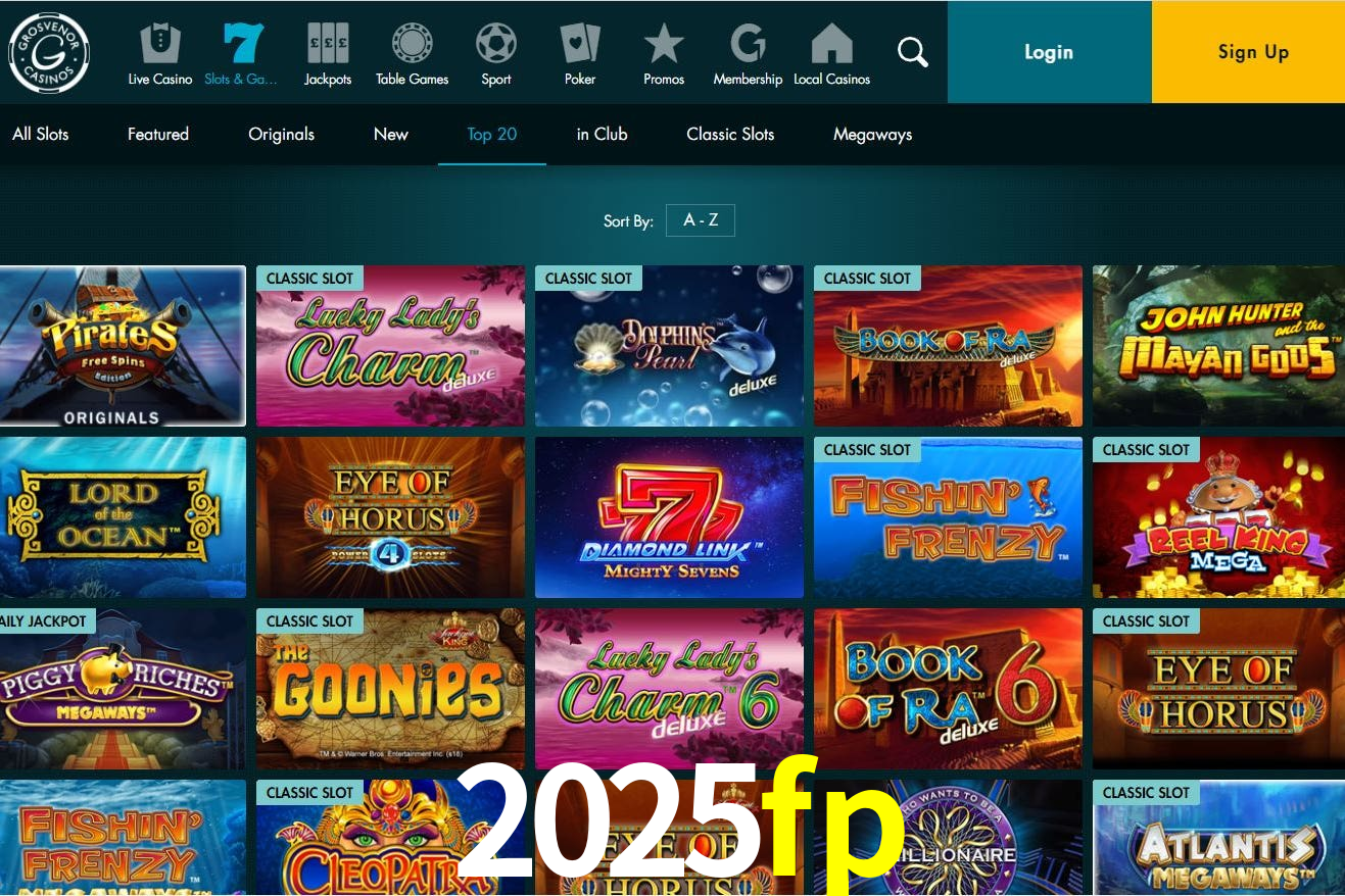 Player Reviews 2025fp